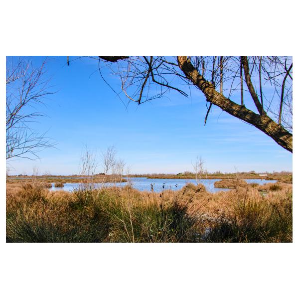 PHOTO84, CLUB, 84 , LUBERON